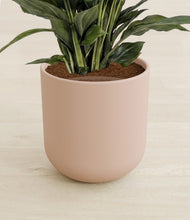 Lade das Bild in den Galerie-Viewer, Sandy Pink stand:all