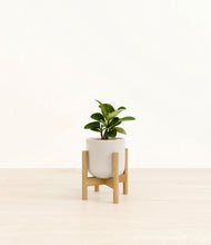 Load image into Gallery viewer, Snowdrift White stand:bamboo