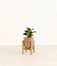 Load image into Gallery viewer, Hammered Peach Pink stand:bamboo