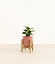 Load image into Gallery viewer, Hammered Rose Pink stand:bamboo