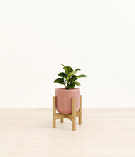 Load image into Gallery viewer, Striped Rose Pink stand:bamboo