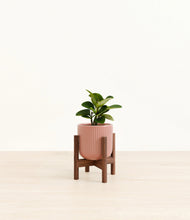 Load image into Gallery viewer, Striped Rose Pink stand:walnut
