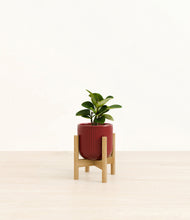 Load image into Gallery viewer, Striped Cherry Red stand:bamboo