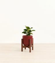 Load image into Gallery viewer, Striped Cherry Red stand:walnut