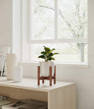 Load image into Gallery viewer, Snowdrift White stand:walnut