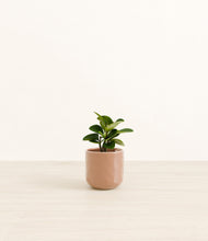 Load image into Gallery viewer, Hammered Peach Pink*****Profile