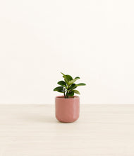 Load image into Gallery viewer, Hammered Rose Pink*****Profile