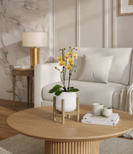 Load image into Gallery viewer, White stand:bamboo