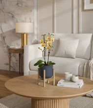 Load image into Gallery viewer, Iron Gray stand:bamboo