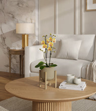 Load image into Gallery viewer, Sage Green stand:bamboo