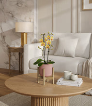 Load image into Gallery viewer, Striped Rose Pink stand:bamboo