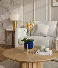 Load image into Gallery viewer, Twilight Blue stand:bamboo