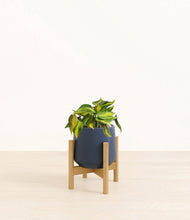 Load image into Gallery viewer, Deep Navy stand:bamboo