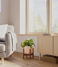 Load image into Gallery viewer, Gentle Pink stand:walnut