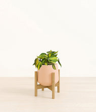 Load image into Gallery viewer, Gentle Pink stand:bamboo