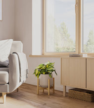 Load image into Gallery viewer, Eternal Gray stand:bamboo