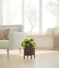 Load image into Gallery viewer, Dark Olive stand:walnut