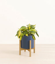 Load image into Gallery viewer, Deep Navy stand:bamboo