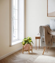 Load image into Gallery viewer, Calm Rose stand:bamboo