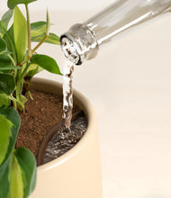 Load image into Gallery viewer, Almond Green stand:all