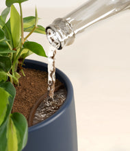 Load image into Gallery viewer, Deep Navy stand:all