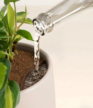 Load image into Gallery viewer, Eternal Gray stand:all