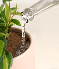 Load image into Gallery viewer, Gentle Pink stand:all