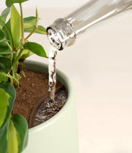 Load image into Gallery viewer, Turquoise stand:all