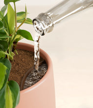 Load image into Gallery viewer, Calm Rose stand:all