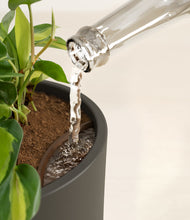 Load image into Gallery viewer, Dark Olive stand:all