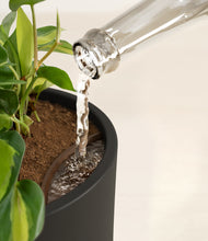 Load image into Gallery viewer, Black stand:all