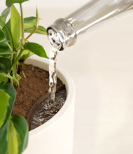 Load image into Gallery viewer, Cream stand:all