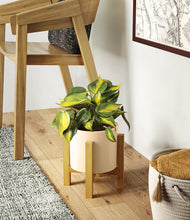 Load image into Gallery viewer, Cream stand:light