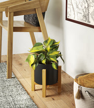 Load image into Gallery viewer, Black stand:light