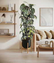 Load image into Gallery viewer, Stone Black stand:bamboo