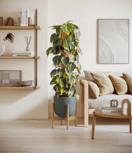 Charger l'image dans la galerie, Sage Green stand:light