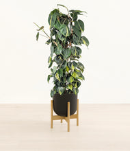 Load image into Gallery viewer, Stone Black stand:bamboo