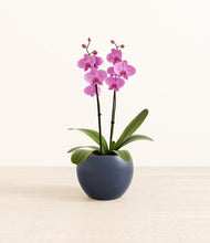 Load image into Gallery viewer, Deep Navy*****Profile