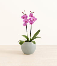 Load image into Gallery viewer, Deep Ocean*****Profile