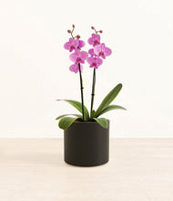 Load image into Gallery viewer, Black*****Profile