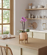 Load image into Gallery viewer, Gentle Pink stand:bamboo