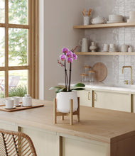 Load image into Gallery viewer, White stand:bamboo