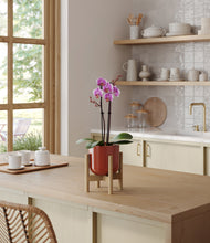 Load image into Gallery viewer, Glossy Red stand:bamboo