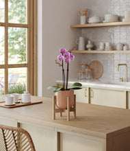 Load image into Gallery viewer, Glossy Pink stand:bamboo