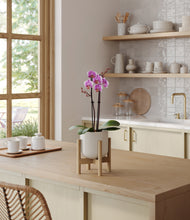 Load image into Gallery viewer, Cotton White stand:bamboo