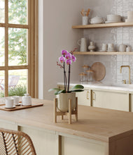 Load image into Gallery viewer, Sage Green stand:bamboo