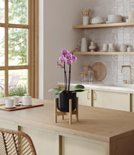 Load image into Gallery viewer, Stone Black stand:bamboo