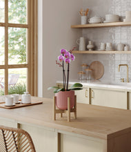Load image into Gallery viewer, Striped Rose Pink stand:bamboo