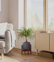 Load image into Gallery viewer, Deep Navy stand:walnut