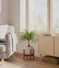 Load image into Gallery viewer, Eternal Gray stand:walnut